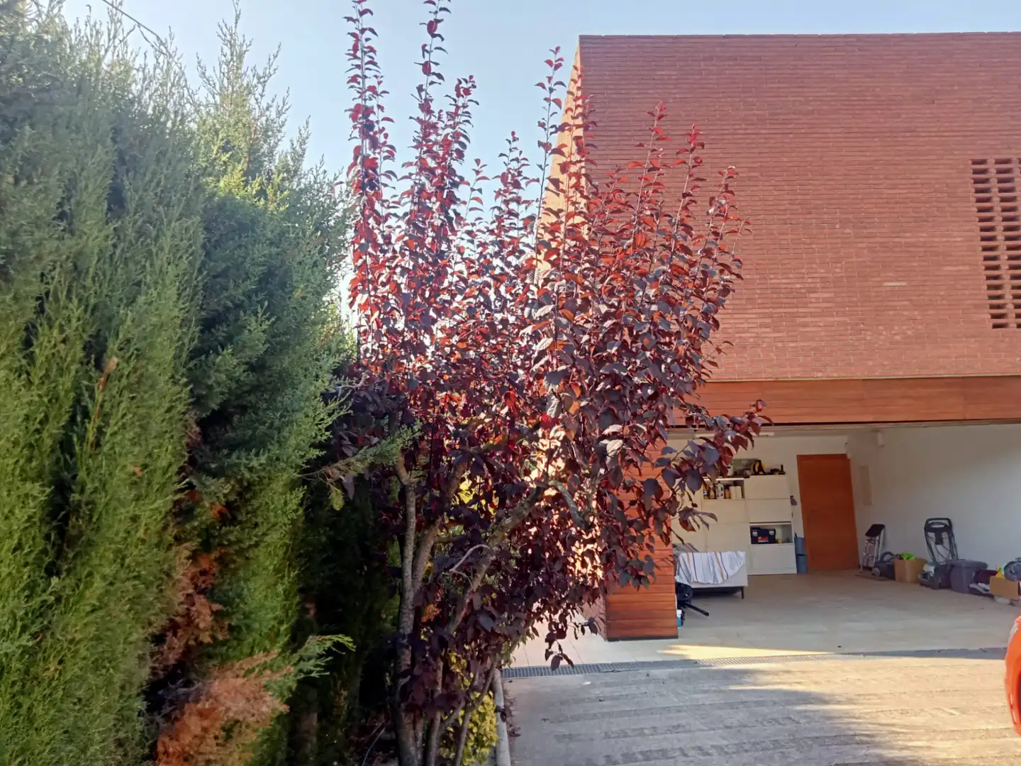 Villa mit Pool zum Verkauf in Carrer Camp de Futbol, imagen 35