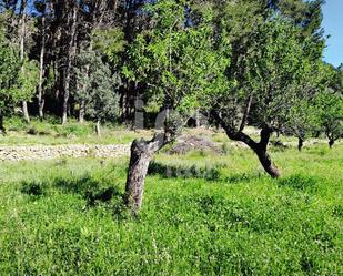 Residential for sale in Orba