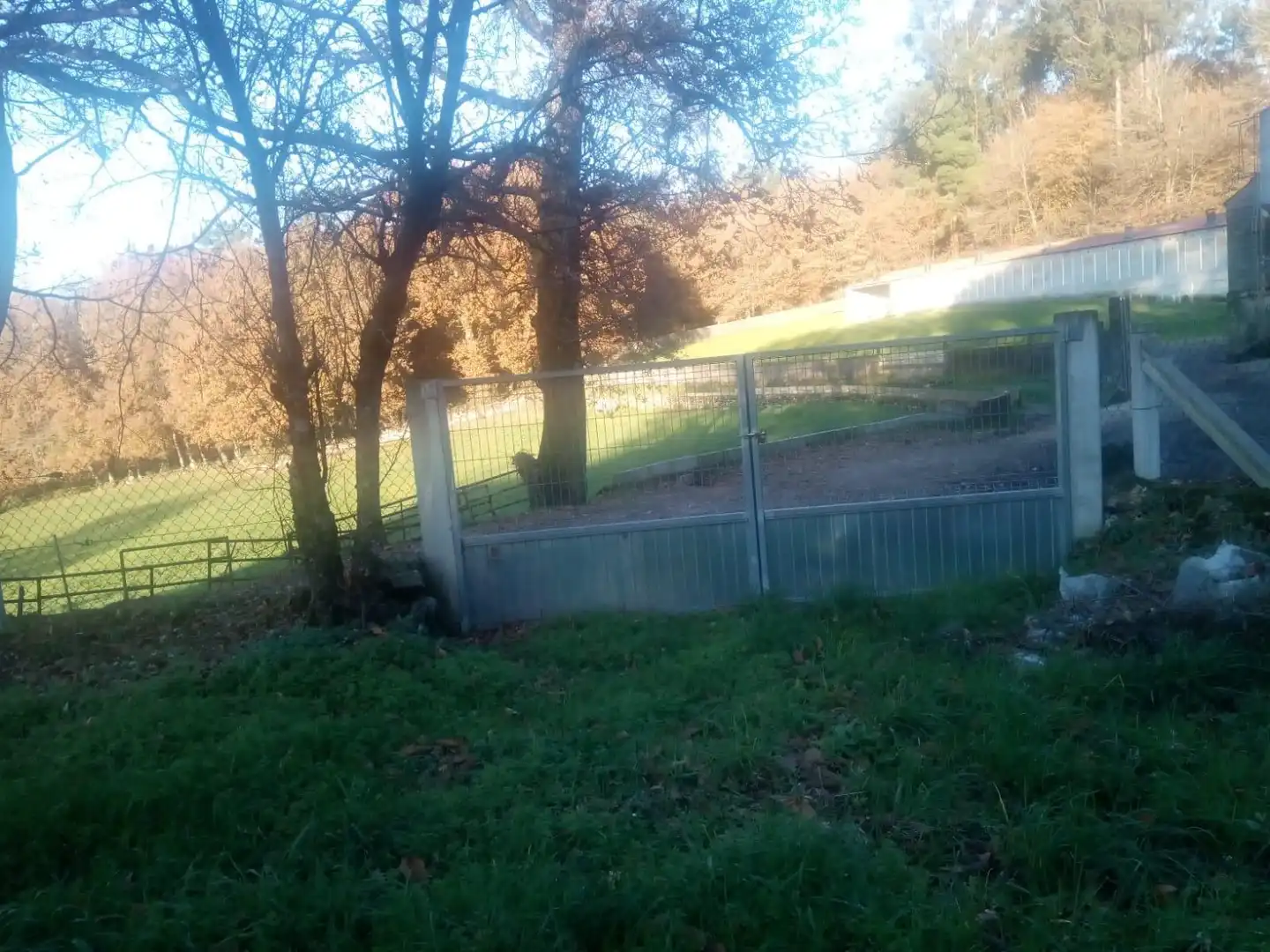 Country homes for sale in Piñor