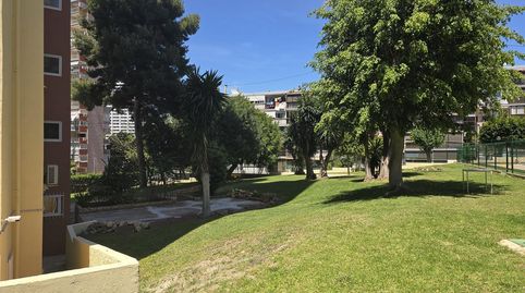 Foto 3 de Pis de lloguer a Avenida de Roma, Rincón Alto, Benidorm