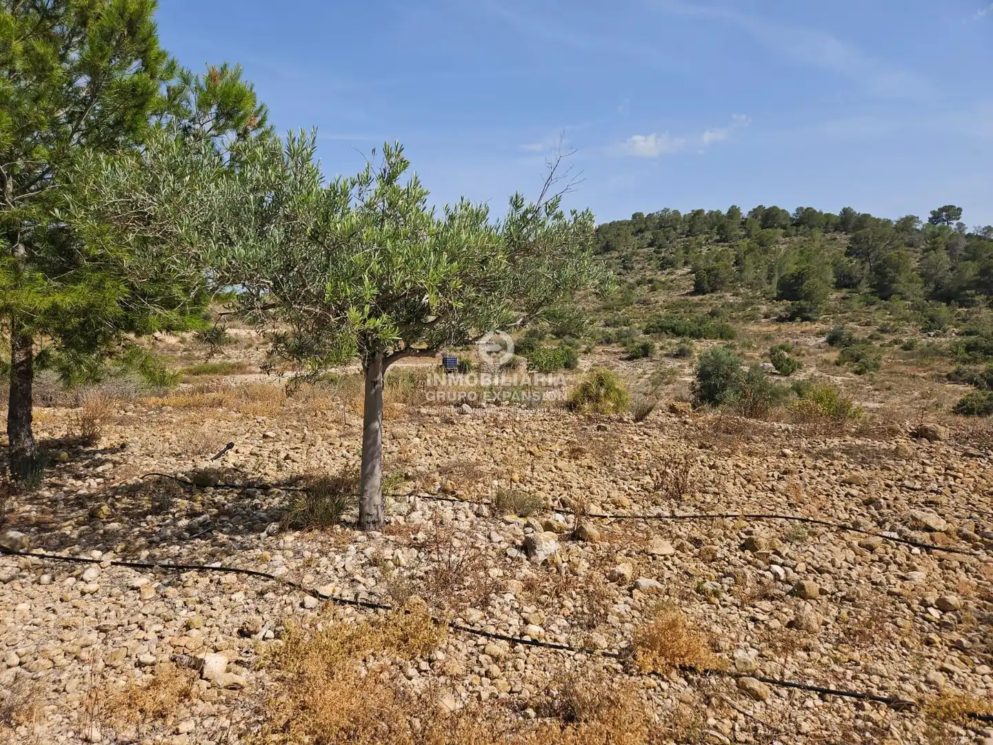 Casa o chalet en venta en Aspe