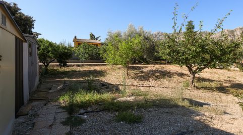 Immagine 2 dell'annuncio