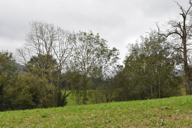 Terreno residencial en Venta en Santiurde de Toranzo