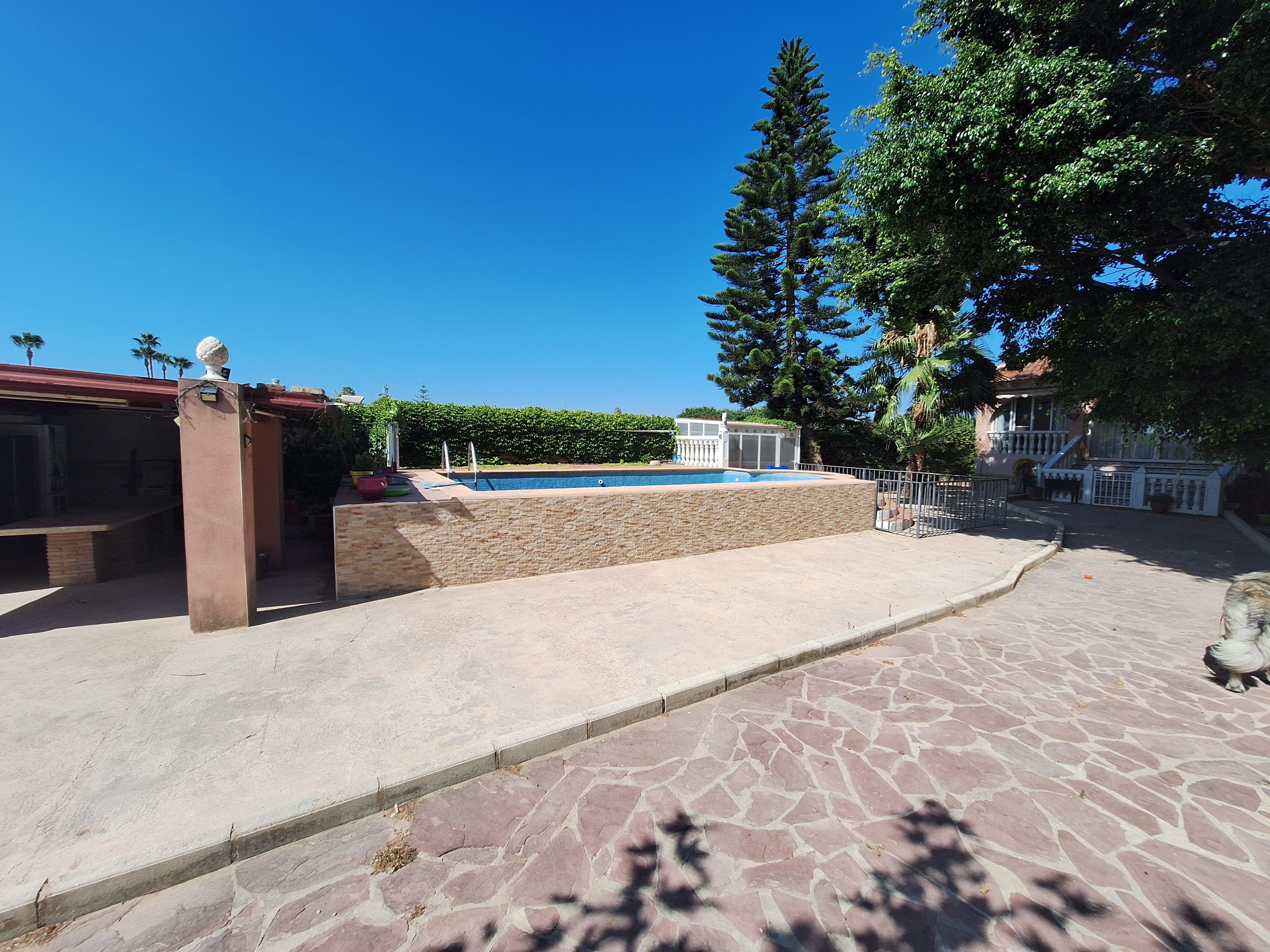 Swimming pool of Country house for sale in Sueca  with Terrace, Swimming Pool and Furnished