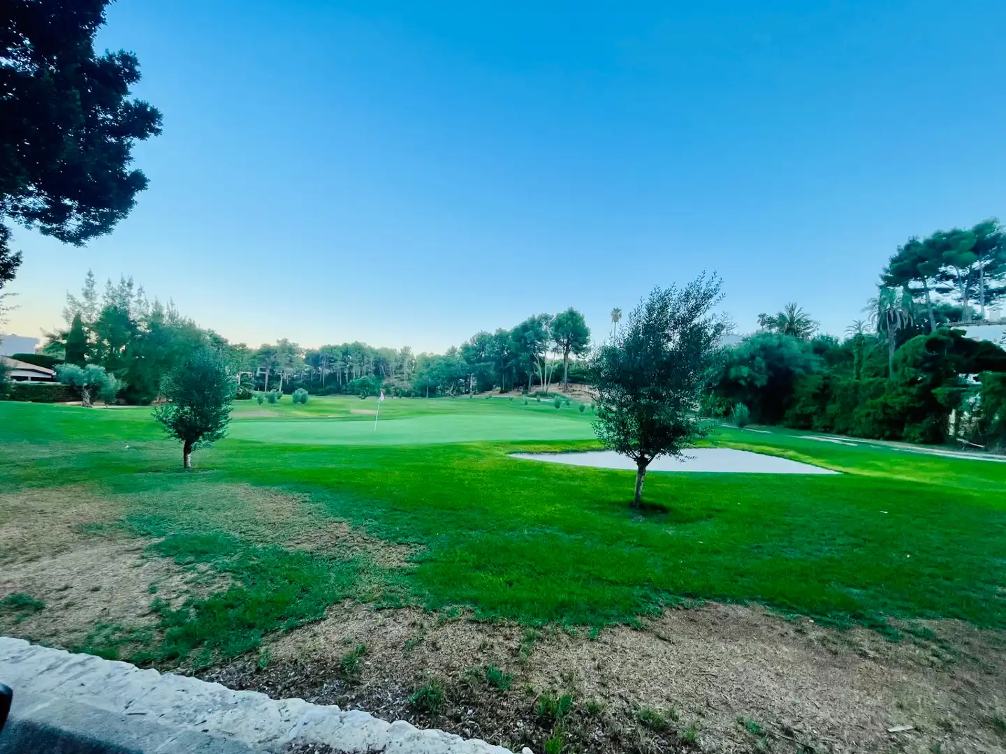 Terreny residencial en venda a Carrer Albenya, imagen 2