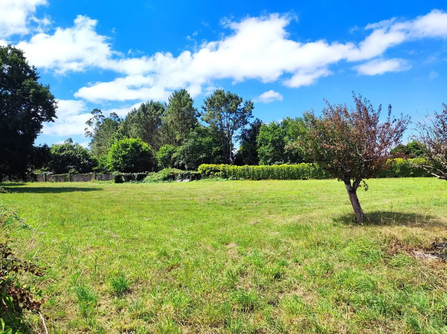 Villa con giardino in vendita a Padronelo 0, imagen 9