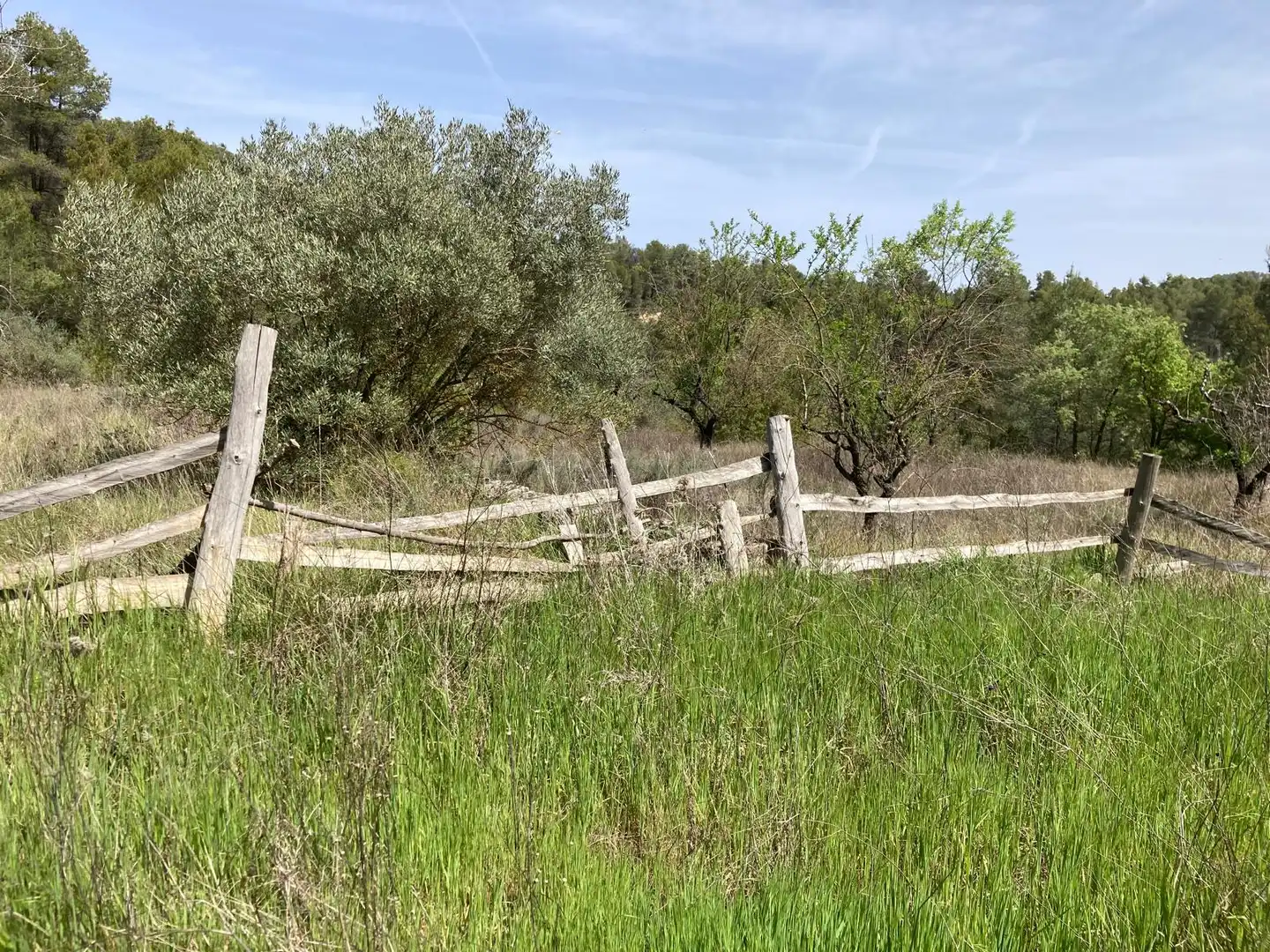 Terreni e lotti in vendita a Arens de Lledó, imagen 10