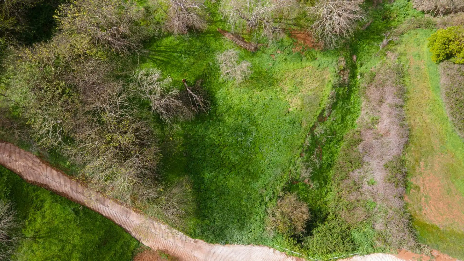 Rustikales Grundstück zum Verkauf in La Esperanza 17, imagen 18