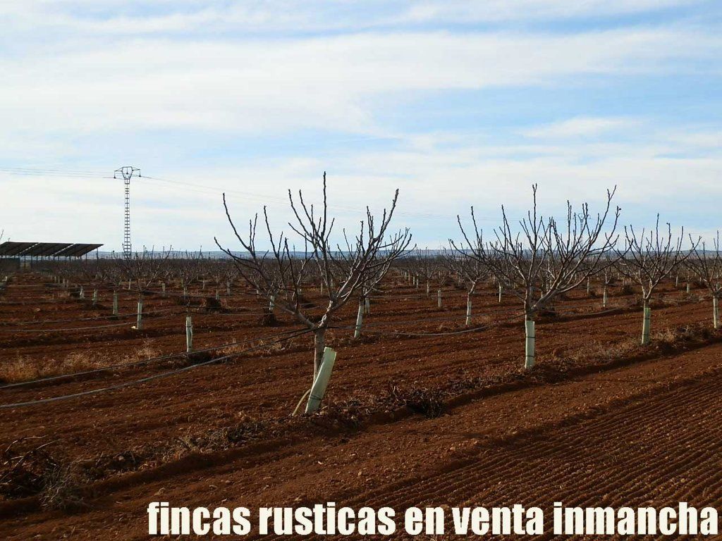 Garden of Land for sale in  Albacete Capital