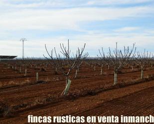 Garden of Land for sale in  Albacete Capital