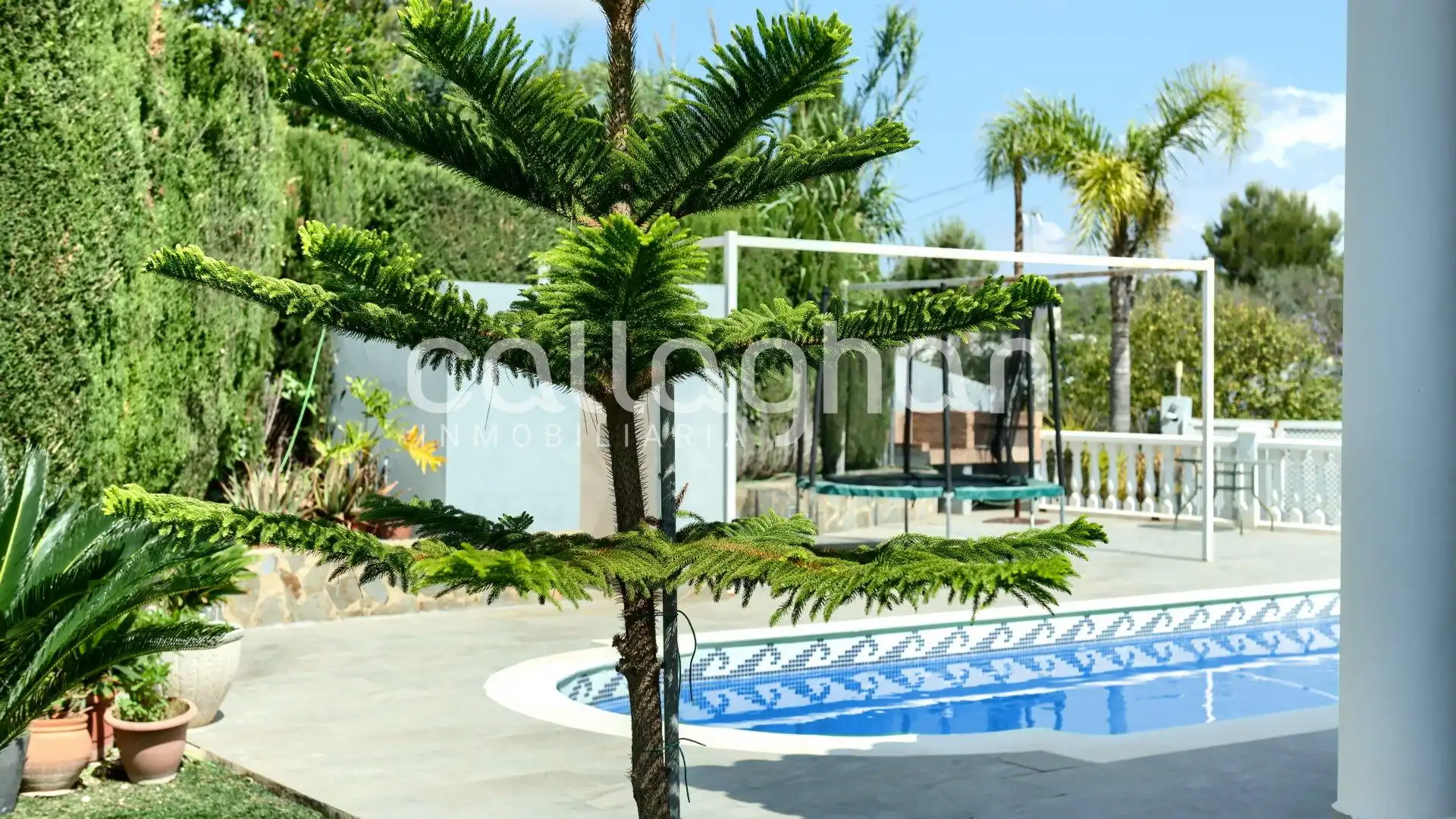 Detached house with terrace for sale in Carrer Del pi blanc, imagen 64