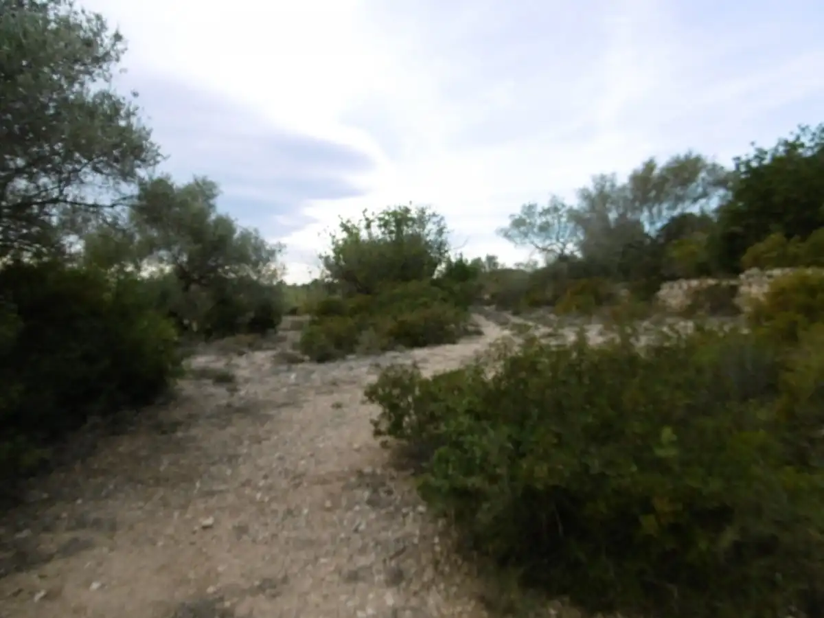 Casa rústica en venda a Vall d'Alba, imagen 10