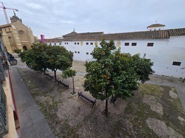 Piso con balcón en venta en Plaza Plaza Conde de Priego 2