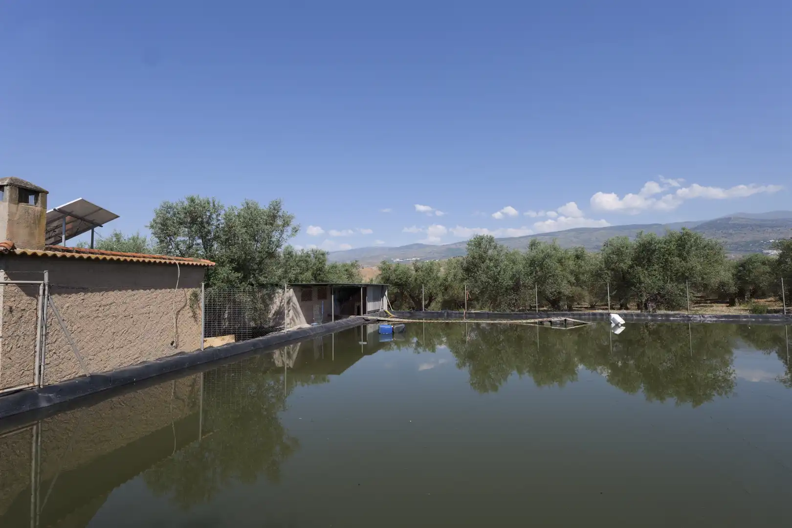 Swimming pool of Country homes for sale in Ugíjar