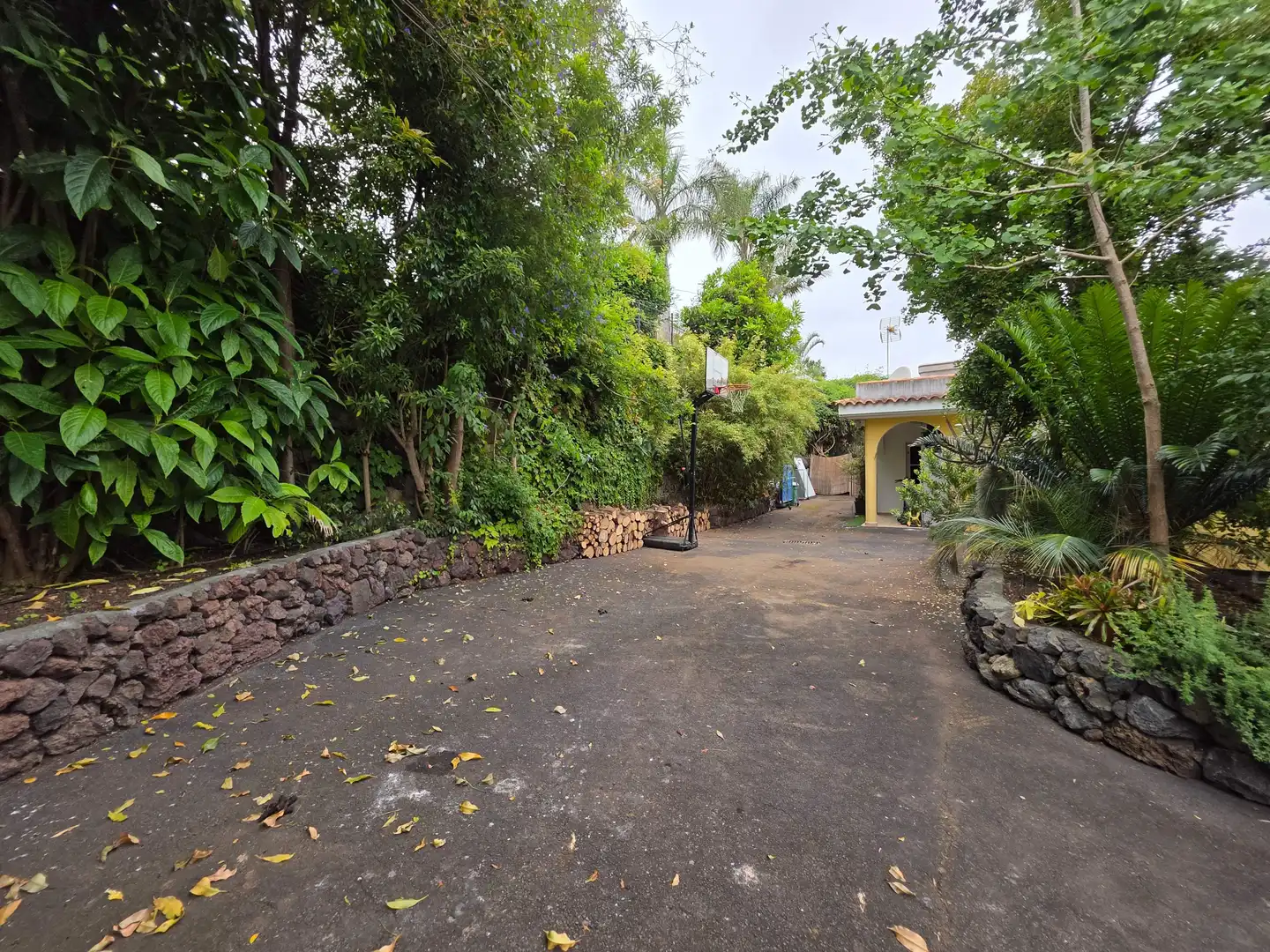 Exterior view of Houses for sale in La Orotava  with Private garden, Terrace and Storage room