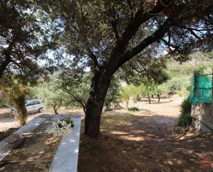 Jardí de Finca rústica en venda en Albuñuelas