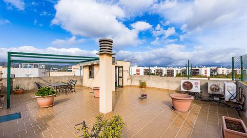 Foto 4 von Dachboden zum Verkauf in El Secar de la Real,  Palma de Mallorca