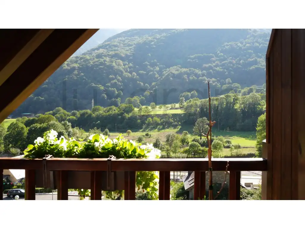 Jardí de Casa o xalet en venda en Bossòst