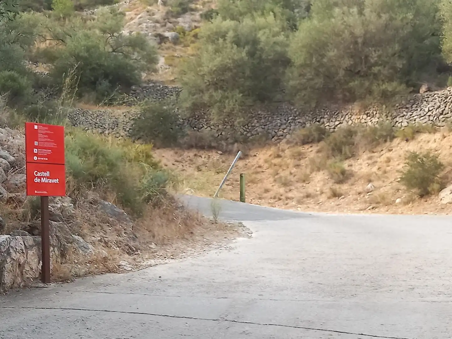 Exterior view of Commercial properties for sale in Miravet