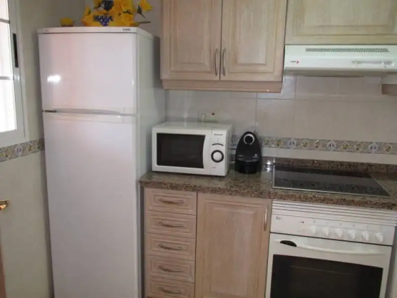 Duplex with pool to rent in Avenida CARABASSI, imagen 10