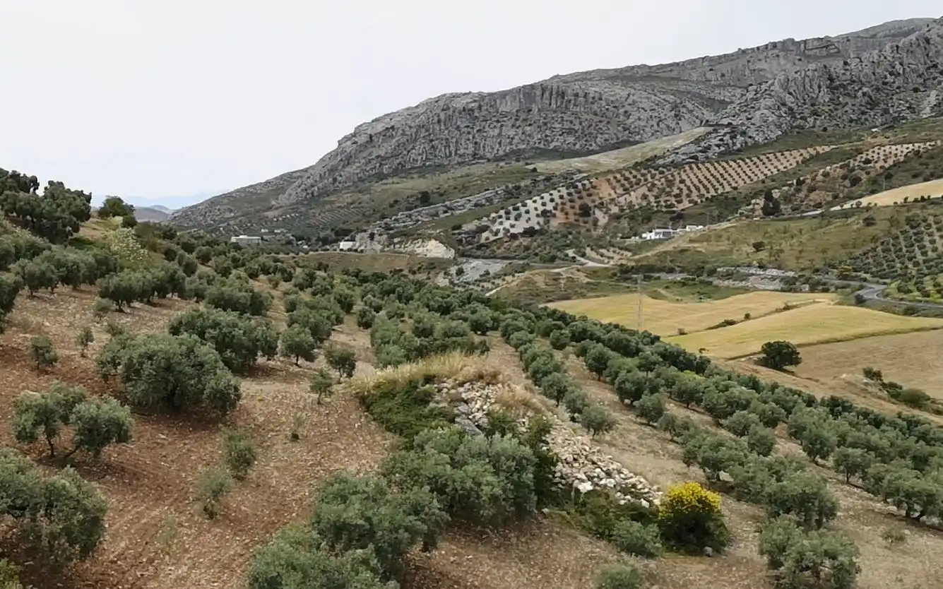 Vista exterior de Finca rústica en venda en Antequera amb Traster