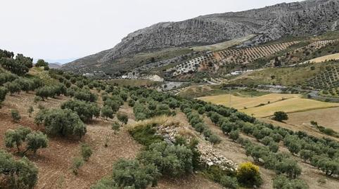 Foto 4 de Finca rústica en venda a N/a, -1, Bobadilla - Bobadilla Estación - La Joya, Málaga