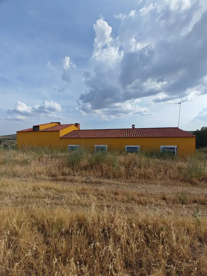 Vista exterior de Casa o chalet en venta en Hornachos con Jardín privado y Terraza
