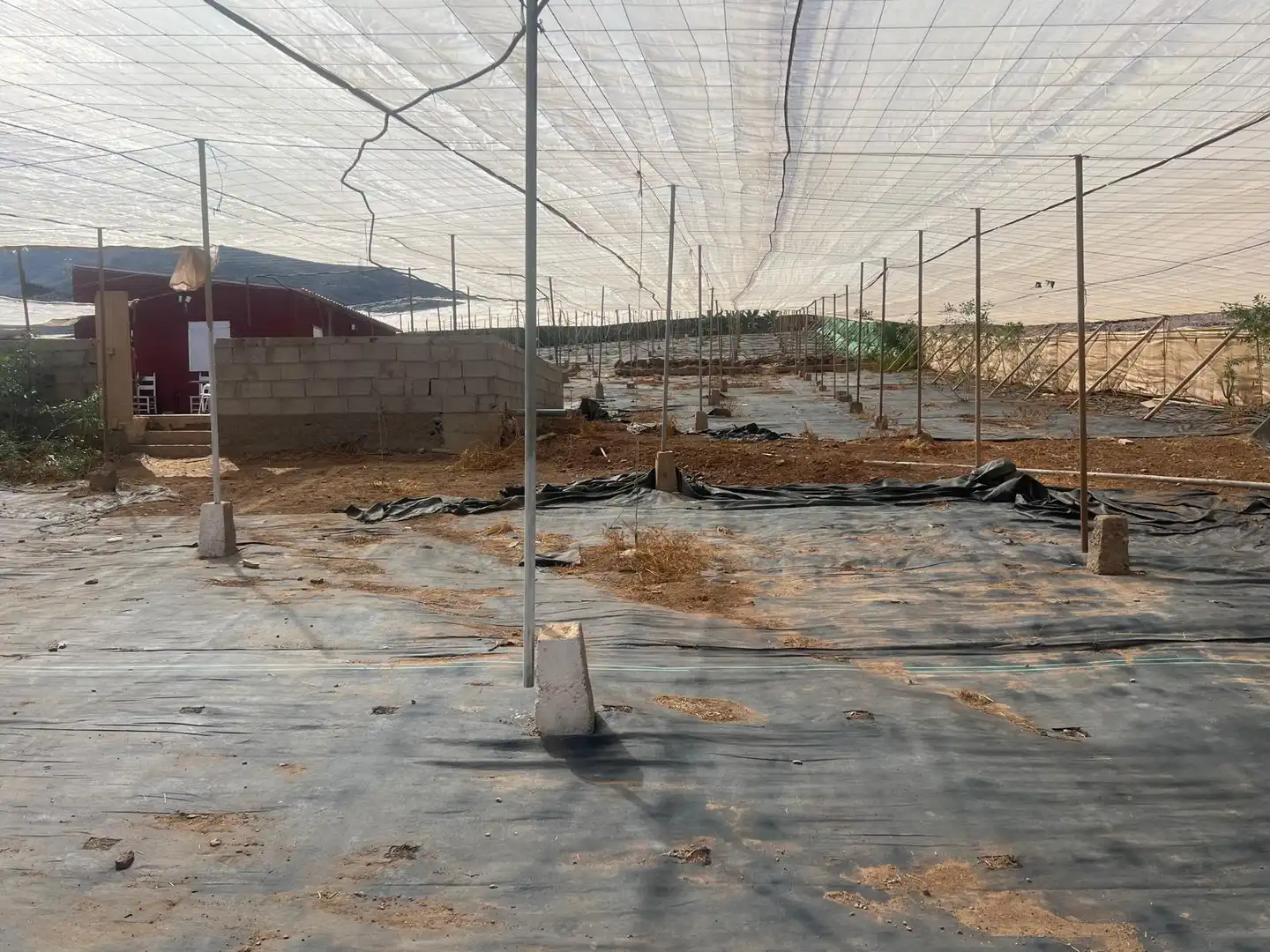 Terreno en venta en La Aldea de San Nicolás 