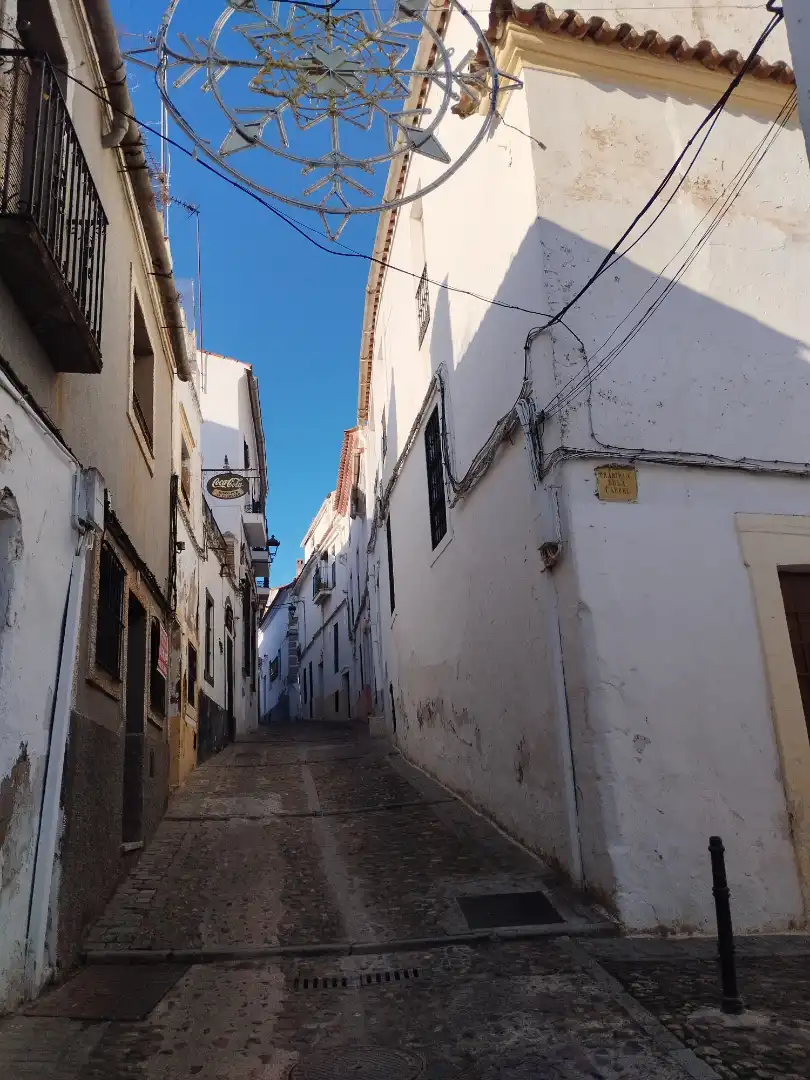 Local comercial en venda a Jerez de los Caballeros, imagen 4