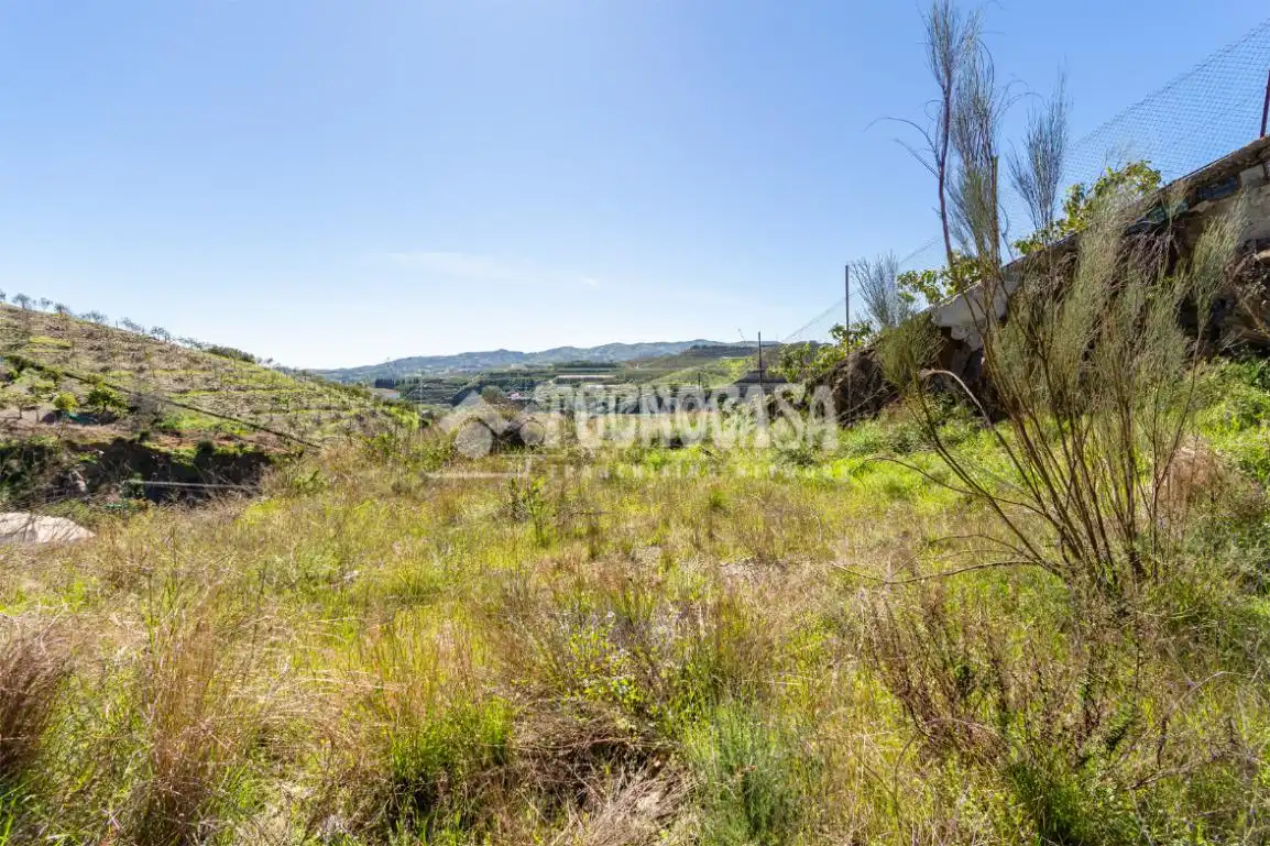 Terreno rústico en venta en Vélez-Málaga ciudad, imagen 15