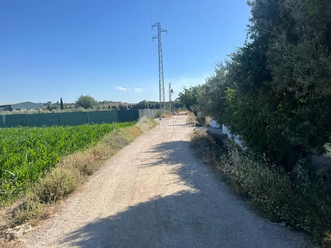 Terreni e lotti in vendita a Cúllar Vega, imagen 4