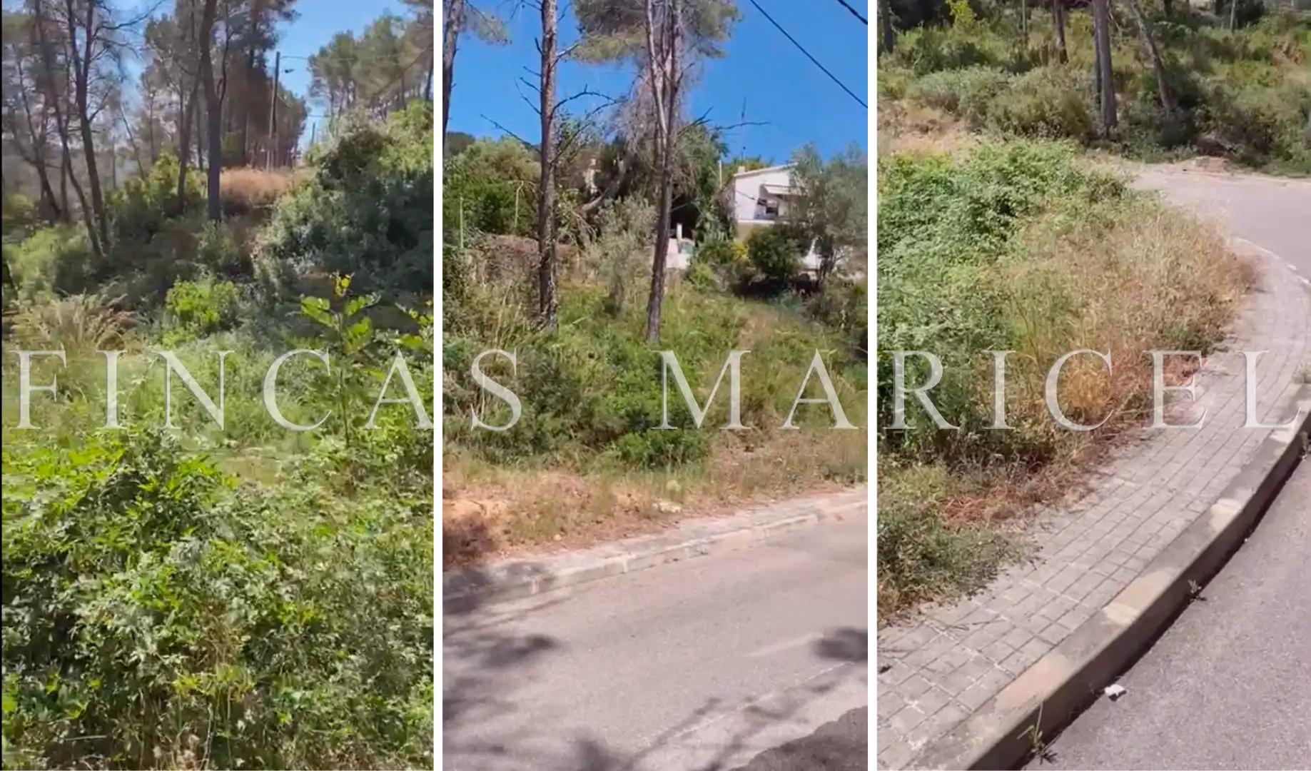 Lands and plots for sale in Olivella, imagen 2