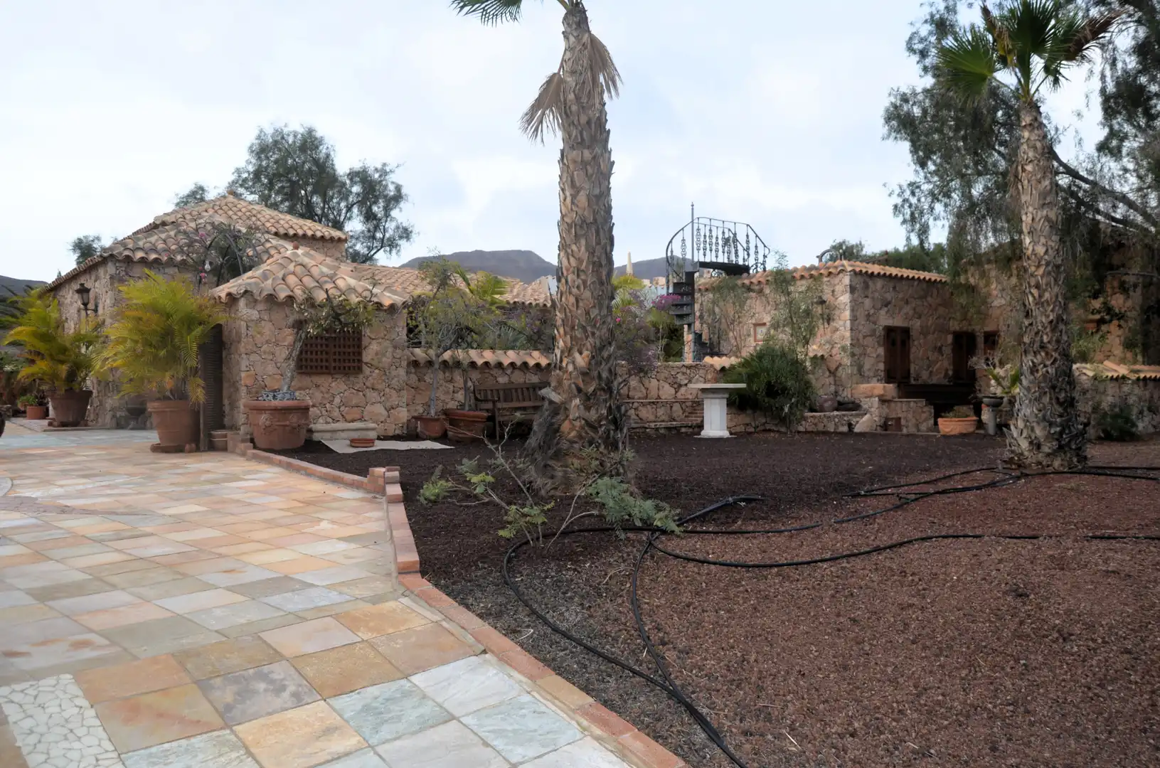 Jardí de Casa o xalet en venda en Pájara amb Jardí privat, Terrassa i Piscina