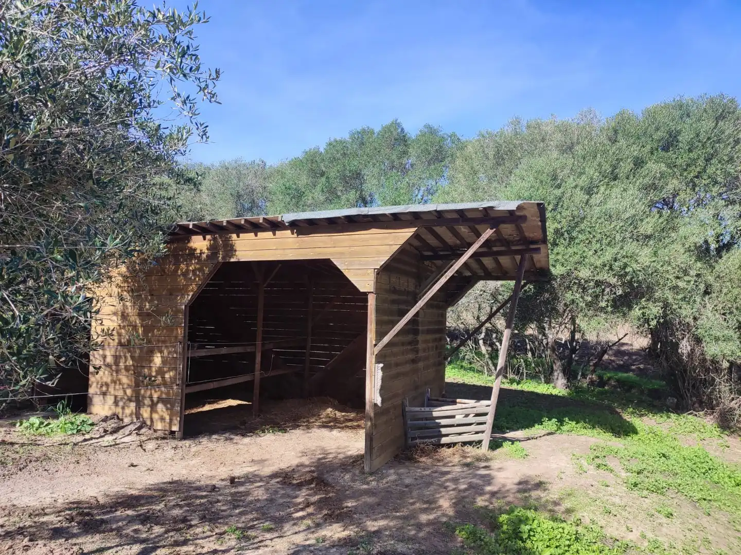 Außenansicht von Haus oder Chalet zum Verkauf in Vejer de la Frontera mit Heizung, Privatgarten und Parkett