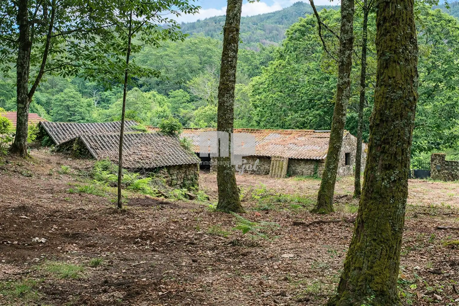 Casa rústica amb jardí en venda a Camiño da Bouza, imagen 24