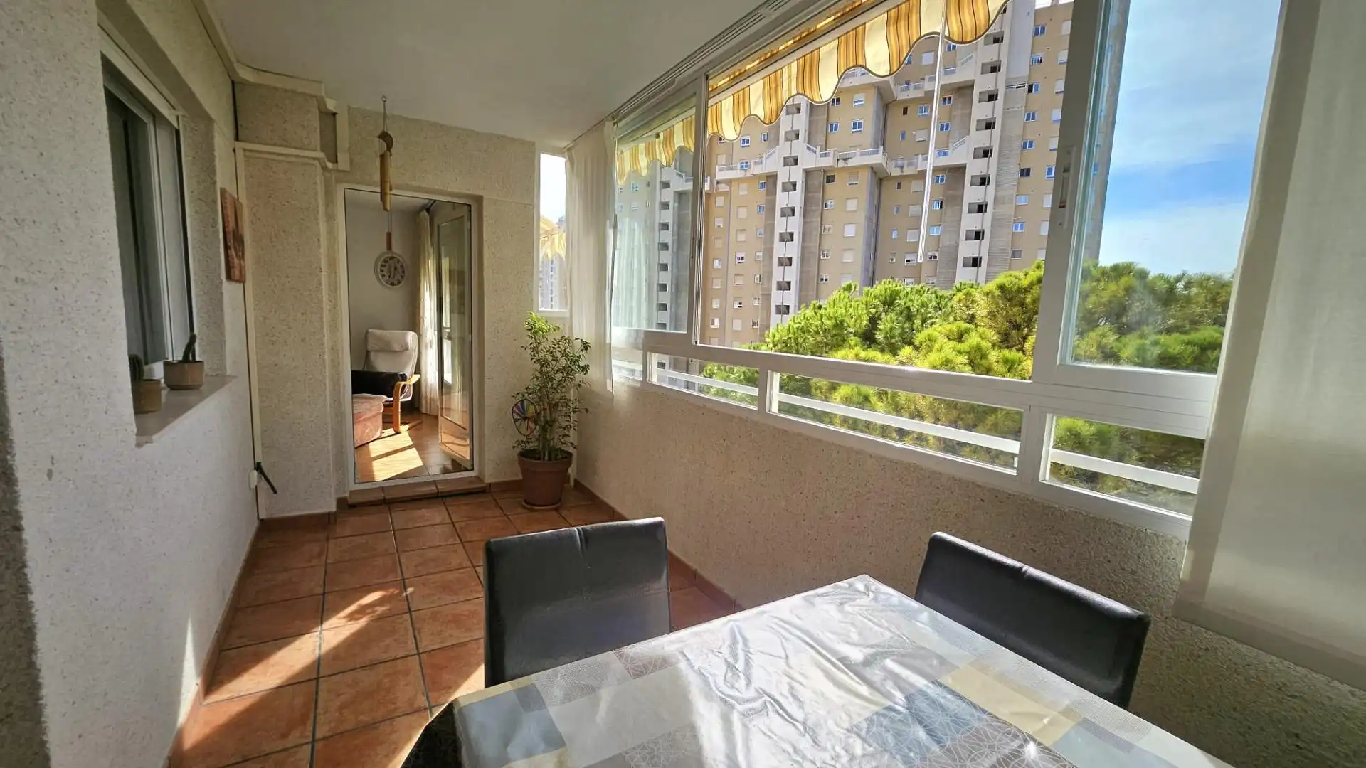 Apartments for rent in Playa Muchavista