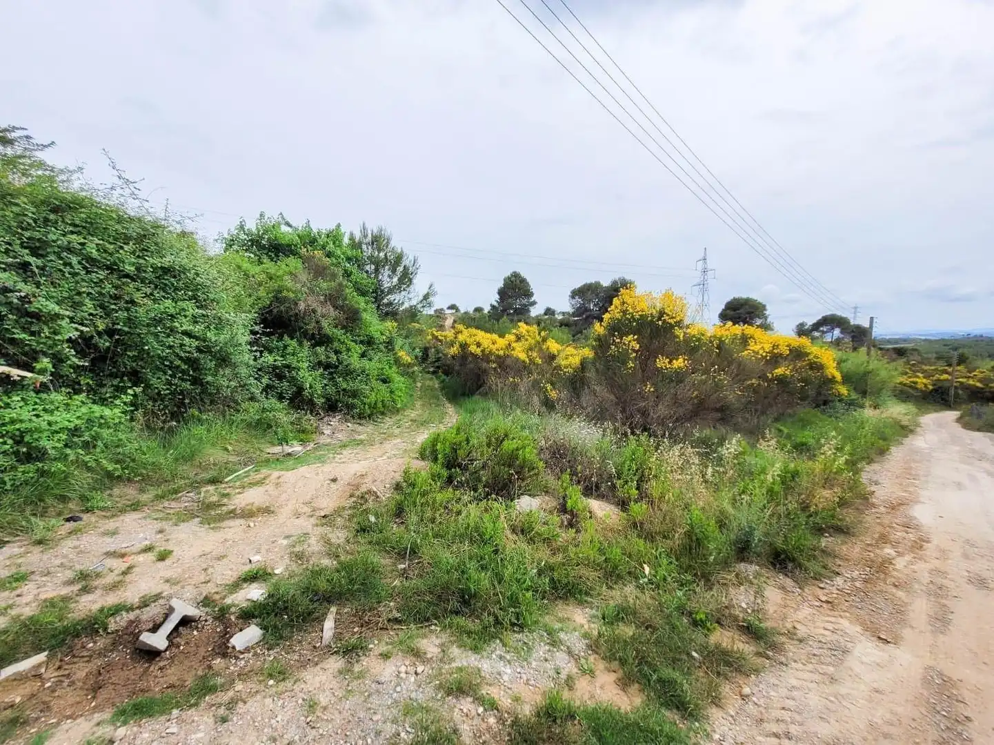 Terreno rústico en venta en Castellbisbal, imagen 22