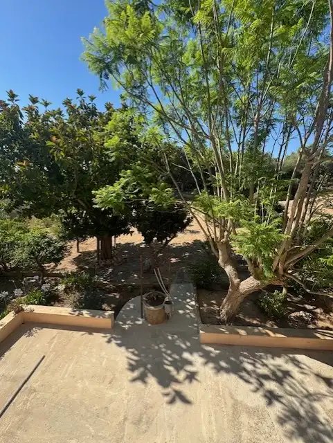 Garden of Country homes for sale in Manacor  with Air Conditioner, Private garden and Terrace