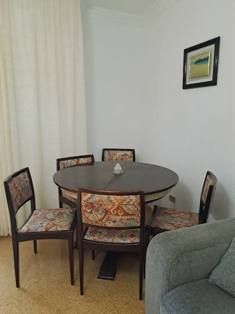 Comedor de Piso de alquiler en Las Palmas de Gran Canaria con Amueblado, Horno y Lavadora