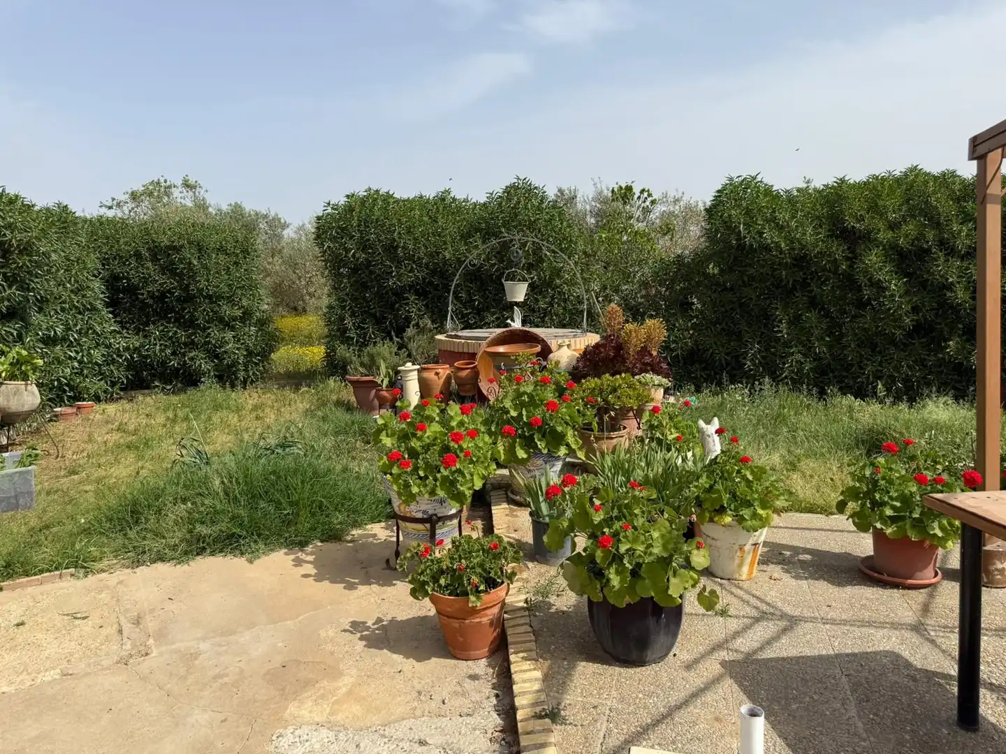 Jardín de Casa o chalet en venta en Carmona con Jardín privado, Terraza y Piscina