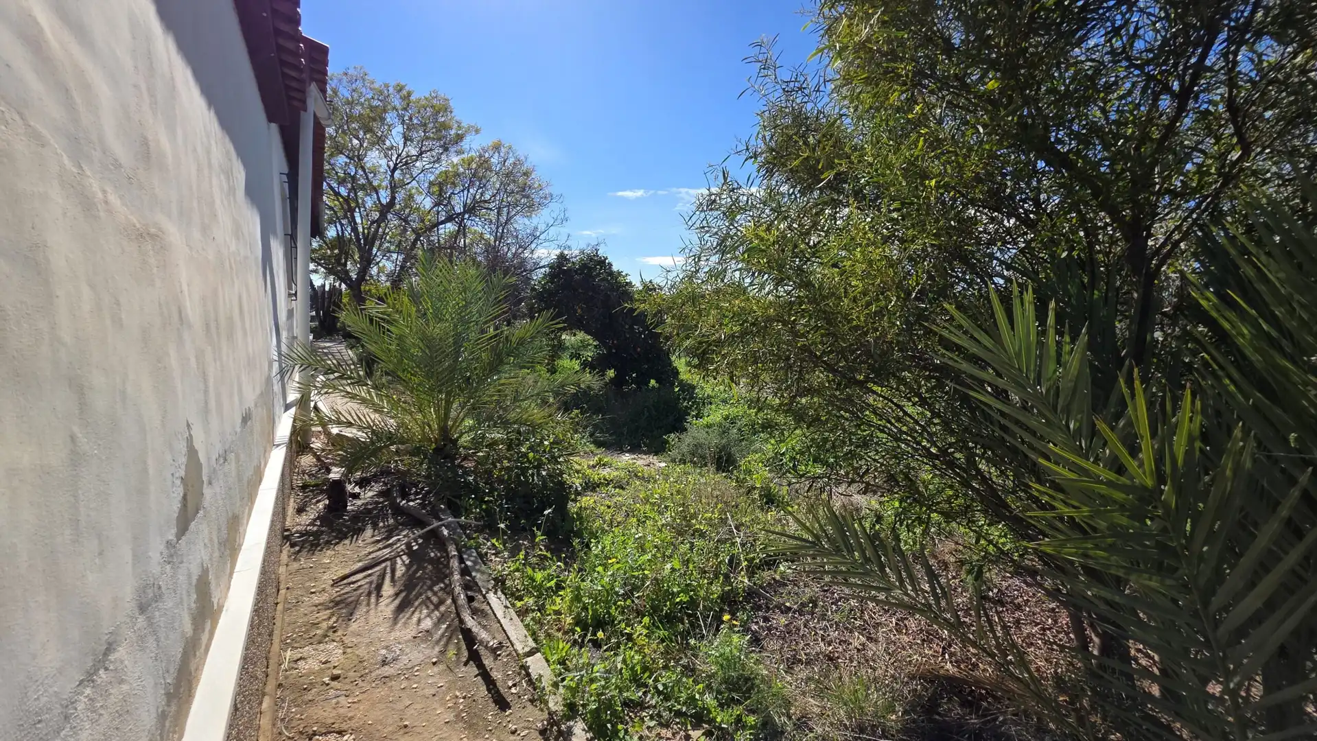 Finca rústica en venda a Las Bayas