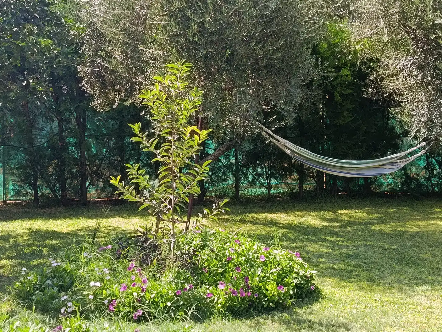 Villa avec piscine à louer à Urbanizacion el Campillo, imagen 59