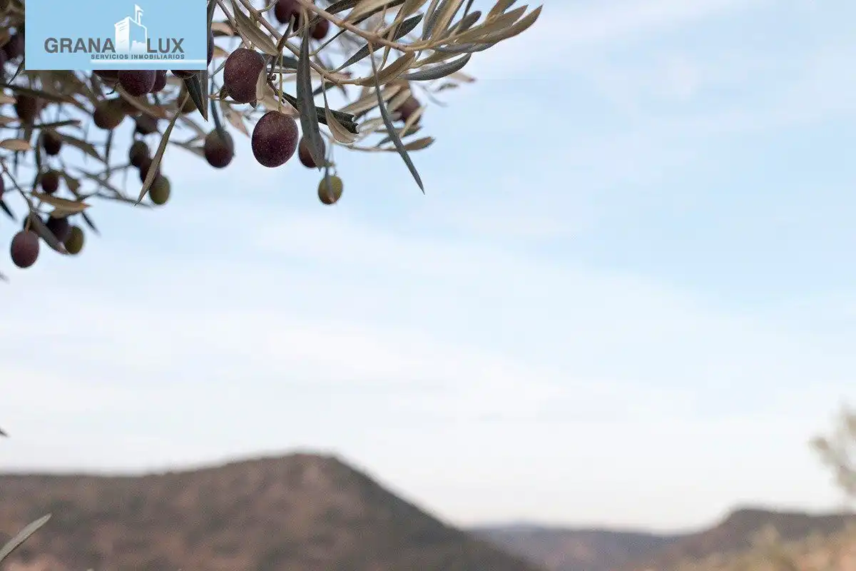 Country homes for sale in Loja