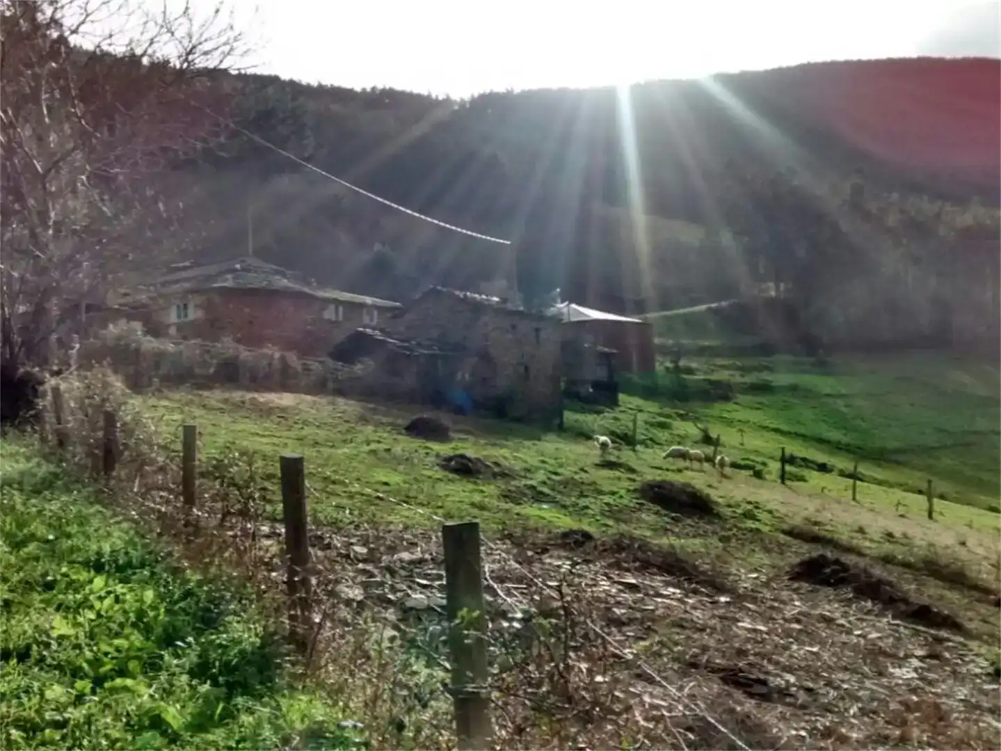 Vista exterior de Finca rústica en venda en A Pontenova  