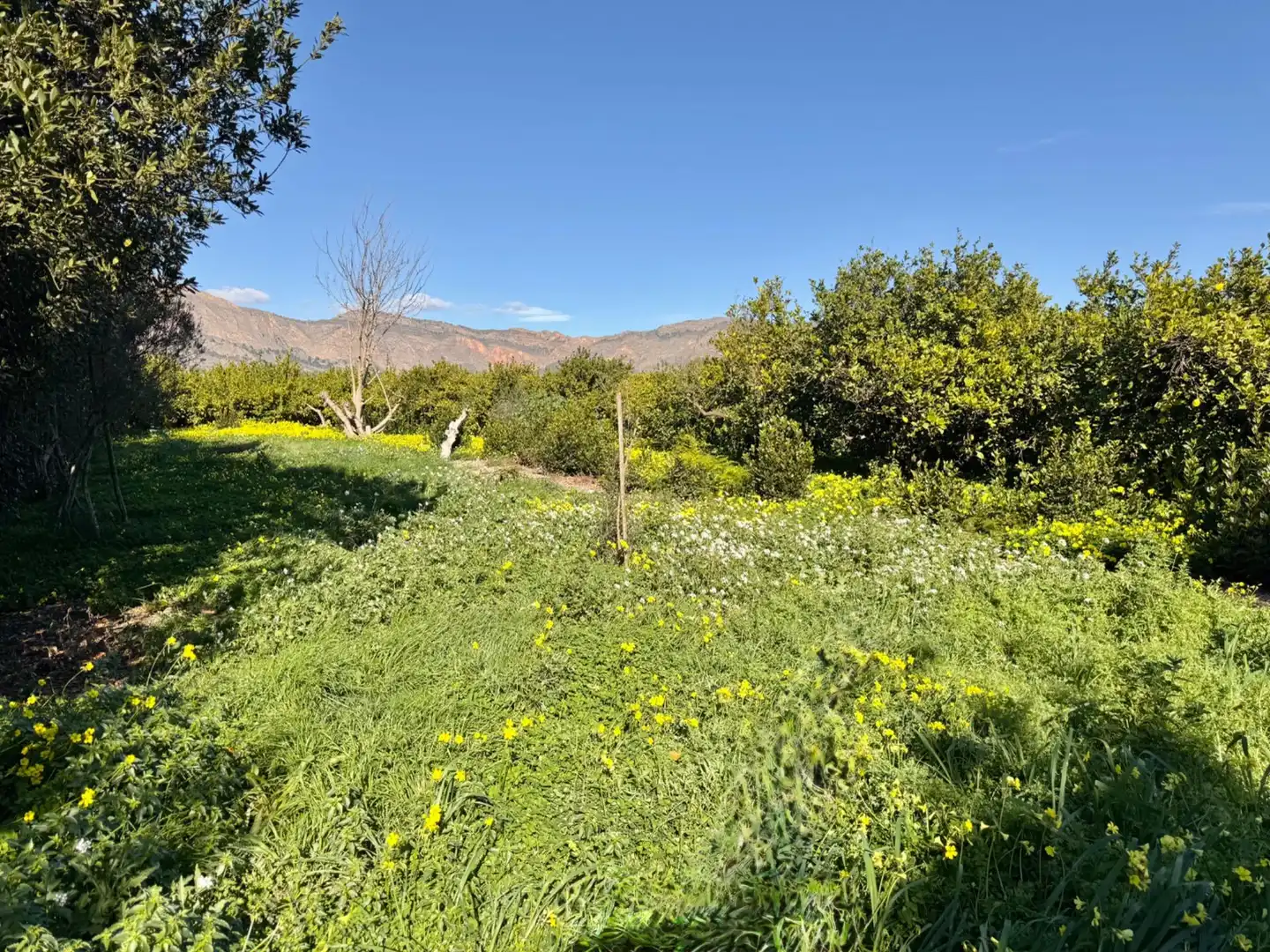 Country house zum Verkauf in Orihuela mit Heizung, Privatgarten und Abstellraum