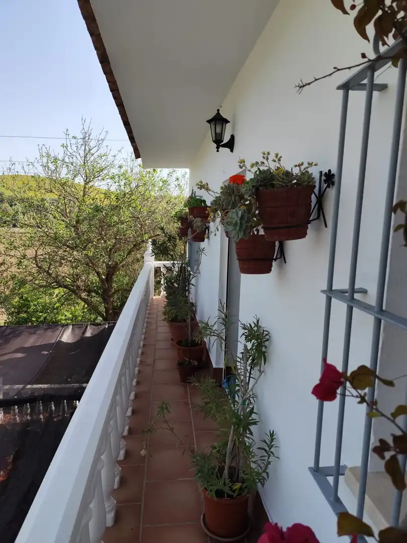 Casa rústica en venda a Arcos de la Frontera, imagen 7