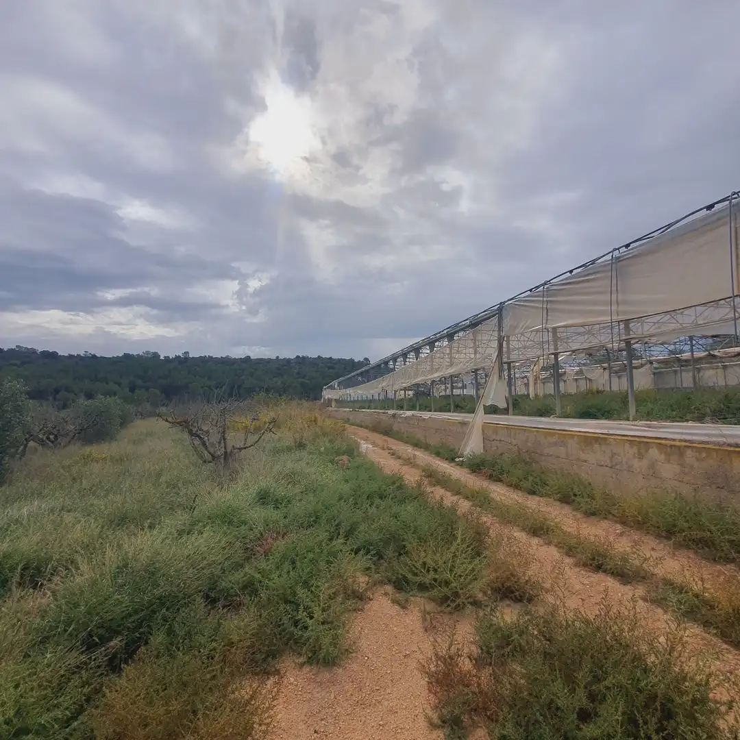 Rustikales Grundstück zum Verkauf in El Pinell de Brai, imagen 26