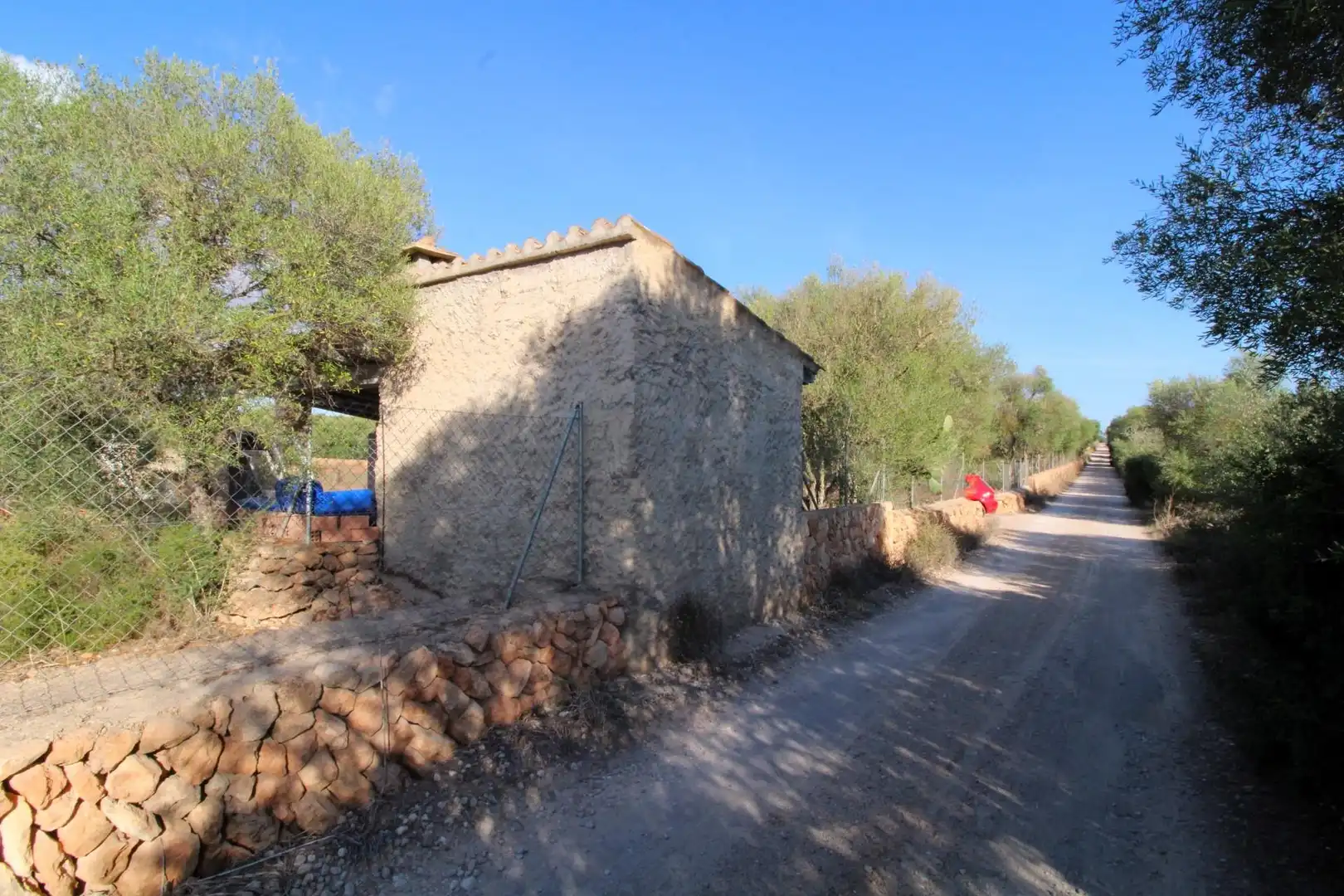 Terreny rústic en venda a Llucmajor pueblo, imagen 18