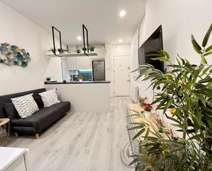 Living room of Flat to rent in  Madrid Capital  with Heating, Furnished and Oven