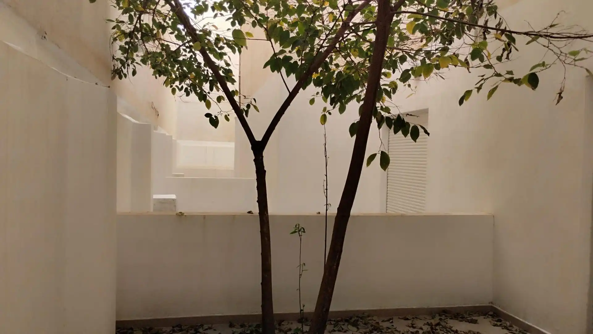 Terrassa de Planta baixa en venda en Xirivella amb Aire condicionat, Terrassa i Moblat